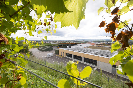 New production hall for Winzer Krems - the largest project in the company's history.